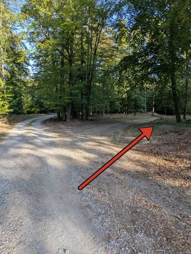 Rozcestí lesních cest u Slunné, červená šipka ukazuje na pravou odbočku do bukového lesa