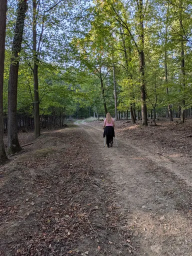 Široká lesní cesta bukovým lesem, vpředu jde žena